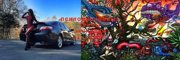 синтетический гашиш Няндома