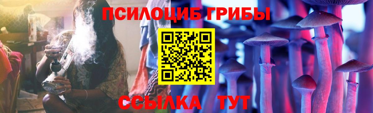 Галлюциногенные грибы мицелий  Вход с VPN  Тосно  где продают наркотики  Галлюциногенные грибы Magic Shrooms 